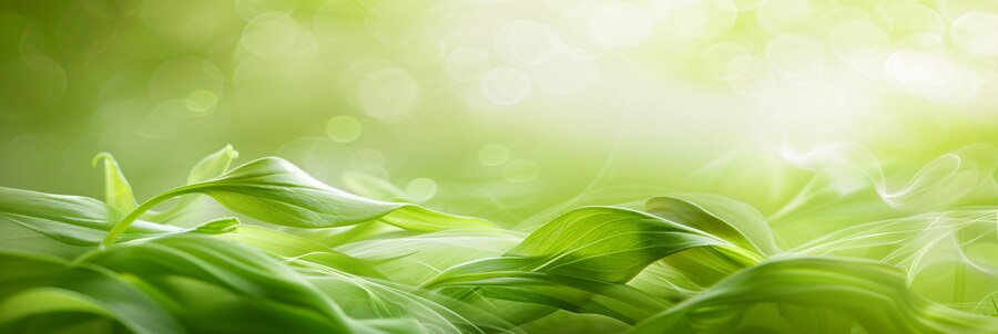 bg_image